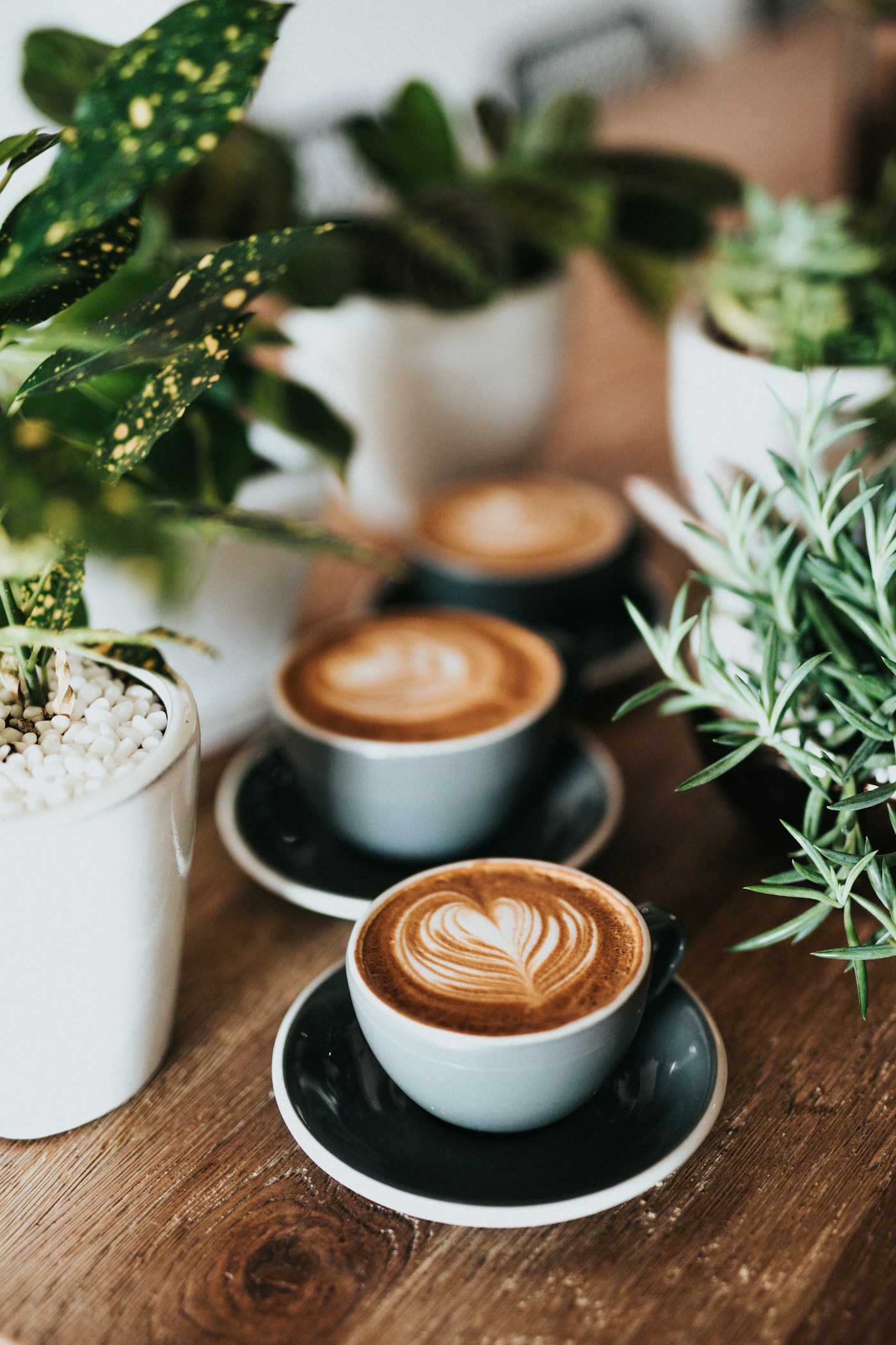 Cafe latte dengan latte art